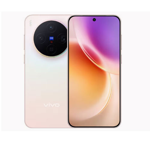 Vivo X300