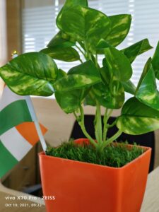 Vivo X70 Pro Camera Sample