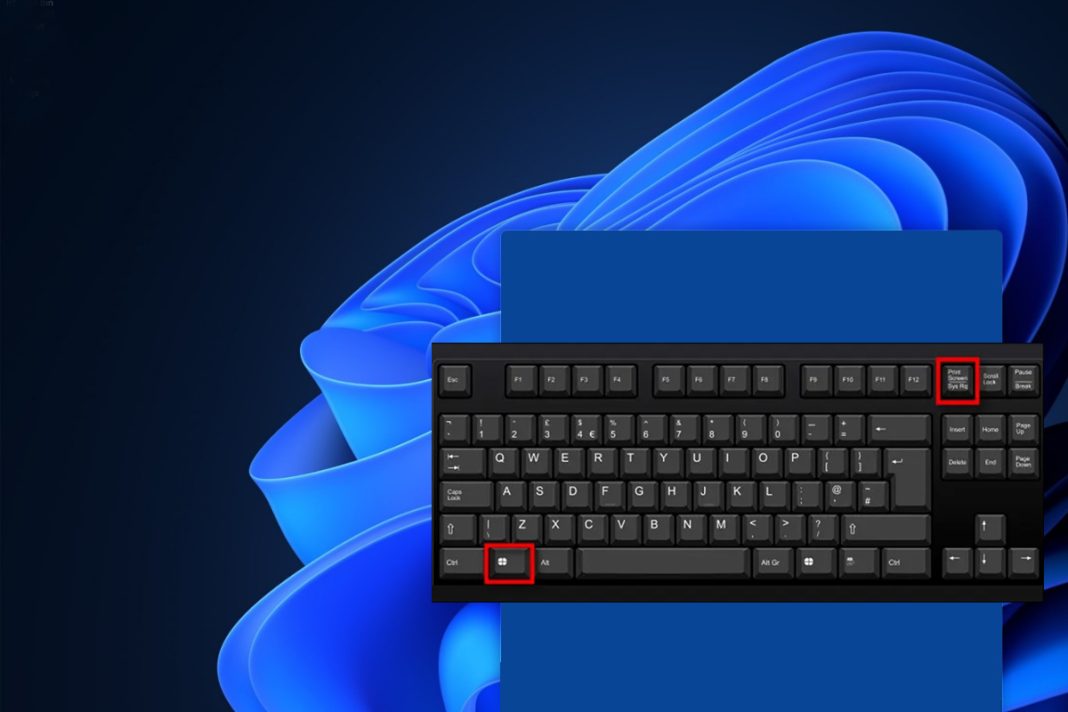 Here is how to take a screenshot on your Windows 11 PC