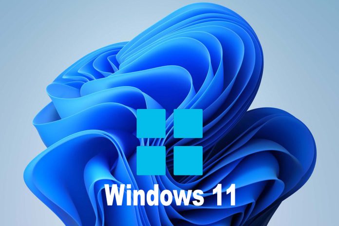 Windows 11
