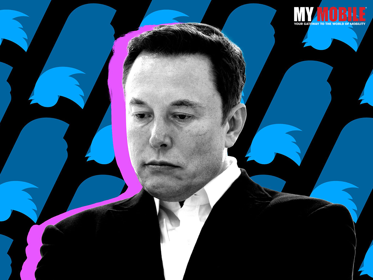 Elon Musk's Poll