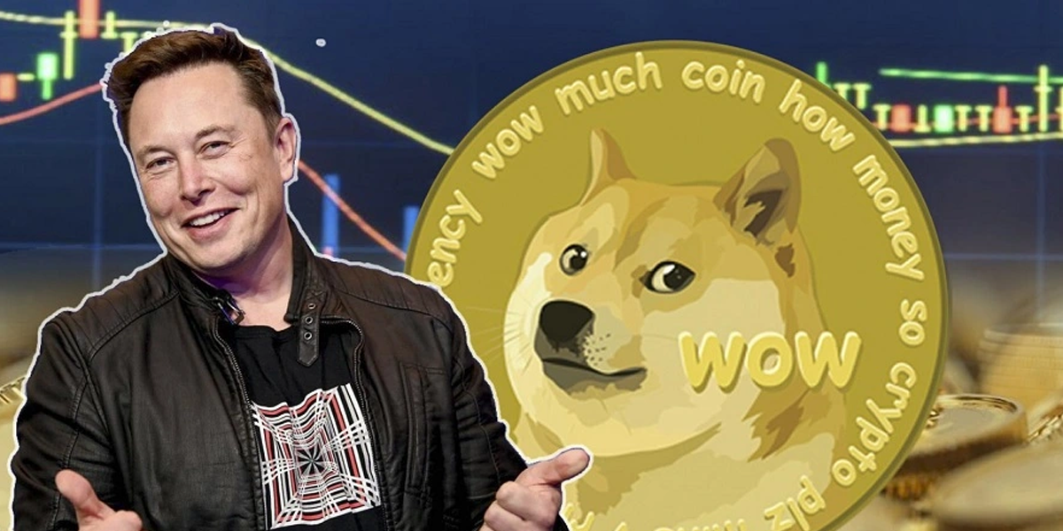 Dogecoin Fans