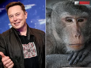 Neuralink