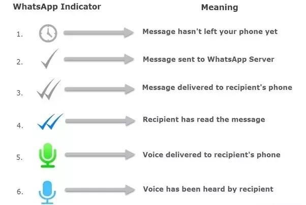 Tick Mark Feature in WhatsApp Chats