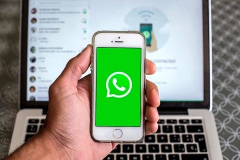 Tick Mark Feature in WhatsApp Chats