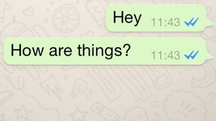 Two Grey Ticks Mean on WhatsApp
