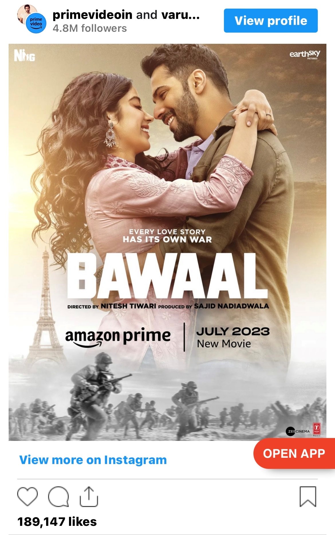 Bawaal OTT Release