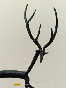 ArtificialLight_Indoors_PotraitMode_2x View Shot