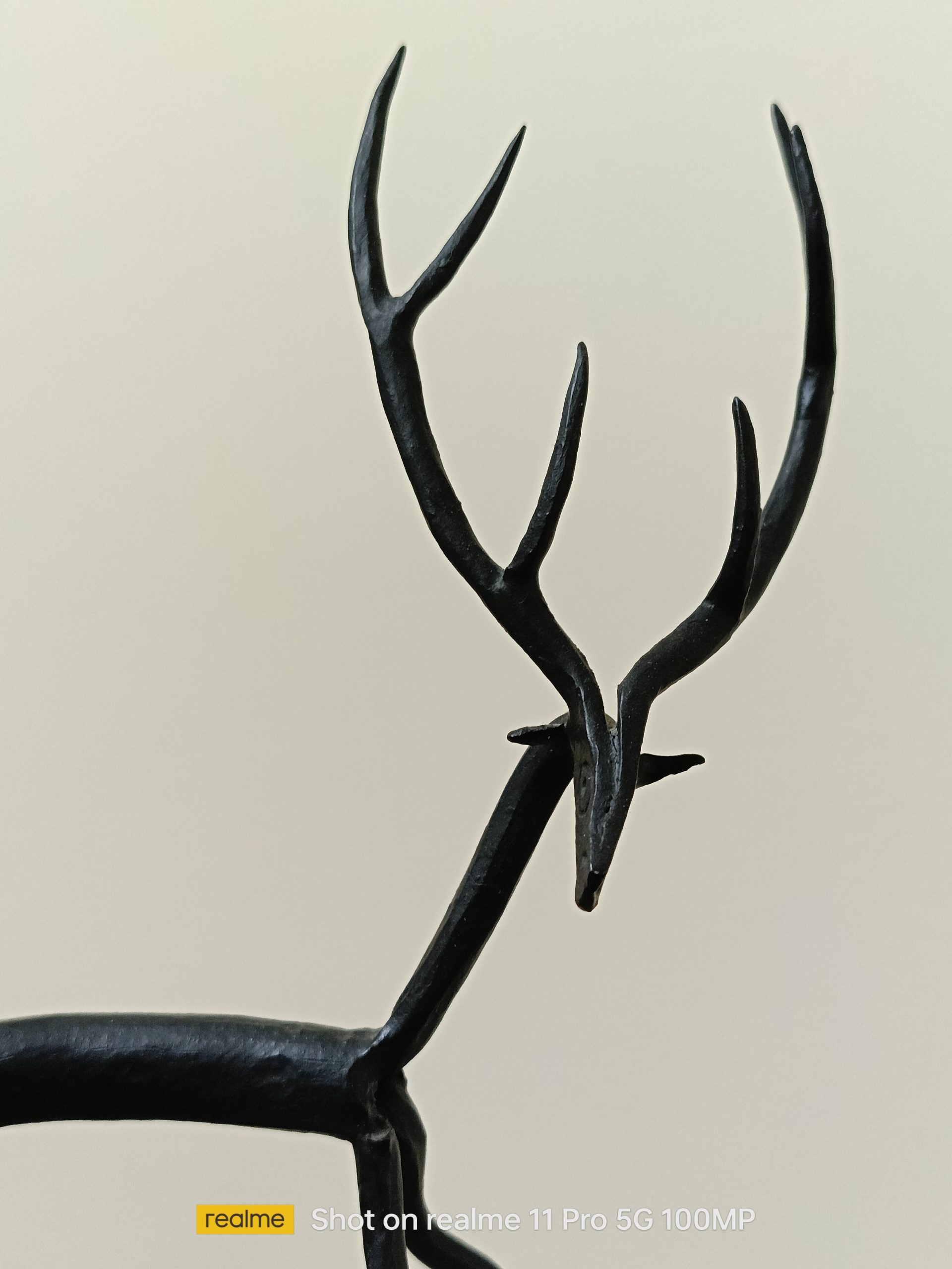 ArtificialLight_Indoors_PotraitMode_2x View Shot