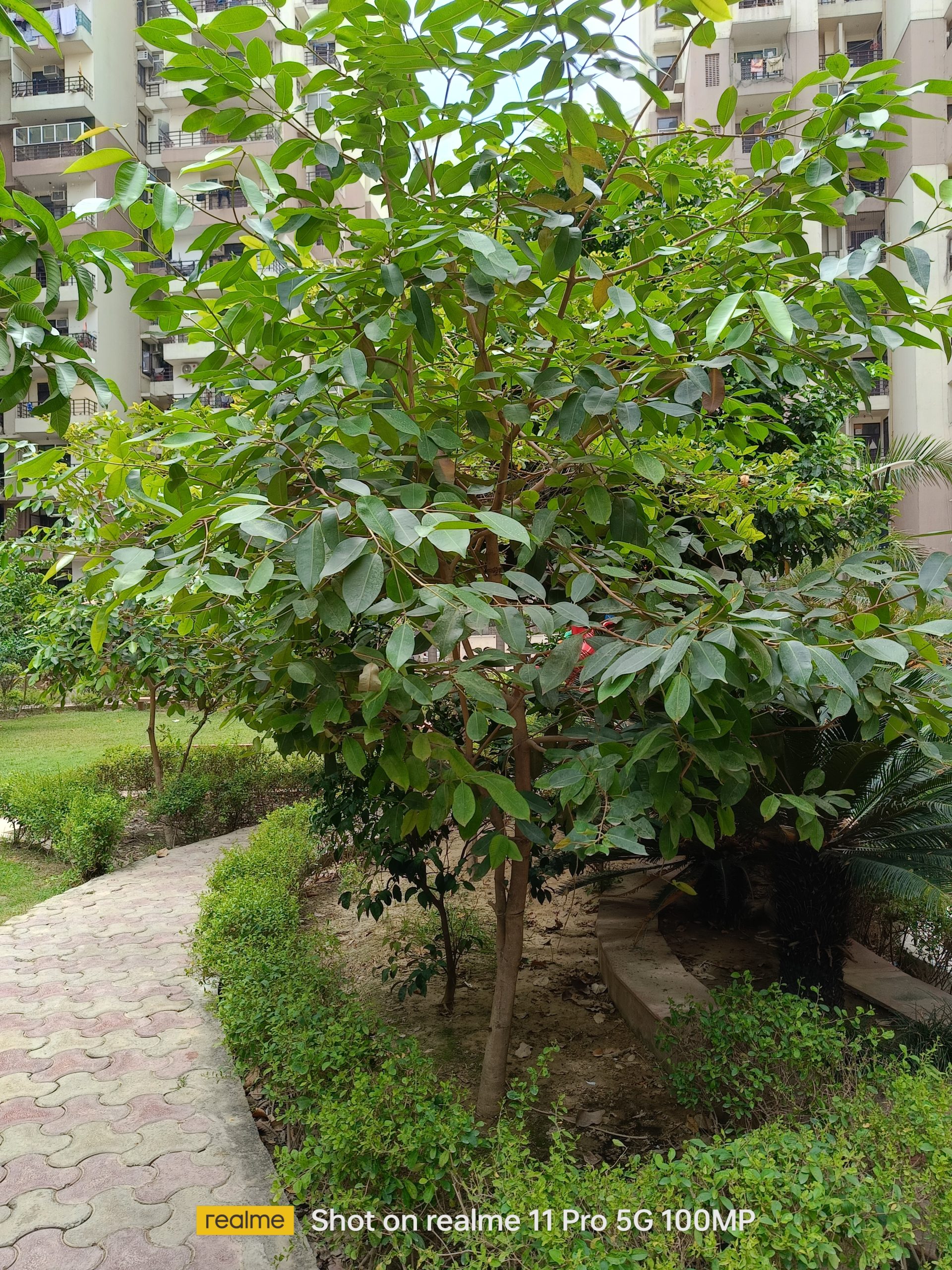 DayLight_1X View Shot