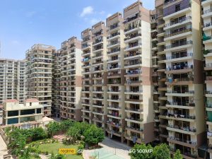 Daylight_NormalMode_1X View Shot_1