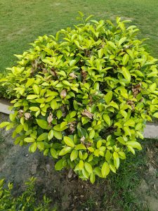 IMG_20230606_134847_862