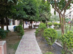 IMG_20230606_135043_666