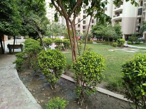 IMG_20230606_135048_650