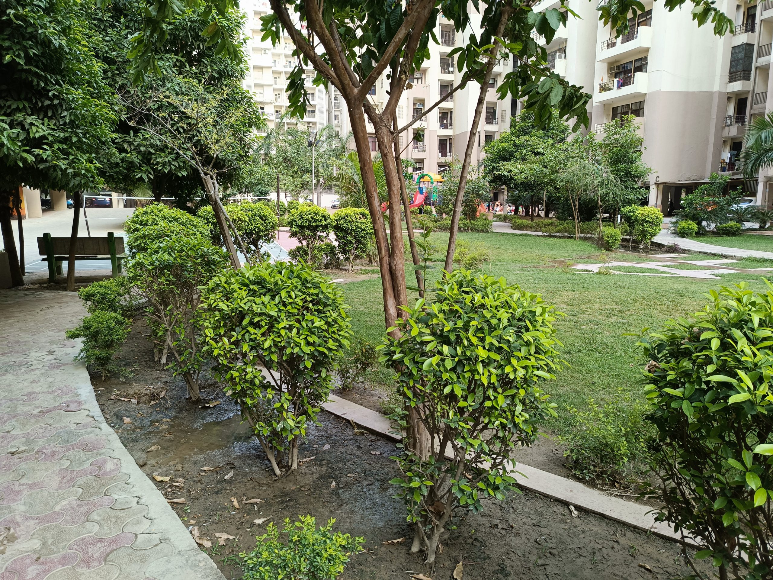 IMG_20230606_135048_650