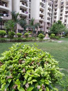 IMG_20230606_135603_674