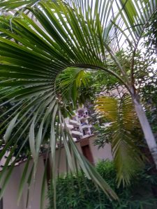 IMG_20230606_135628_397