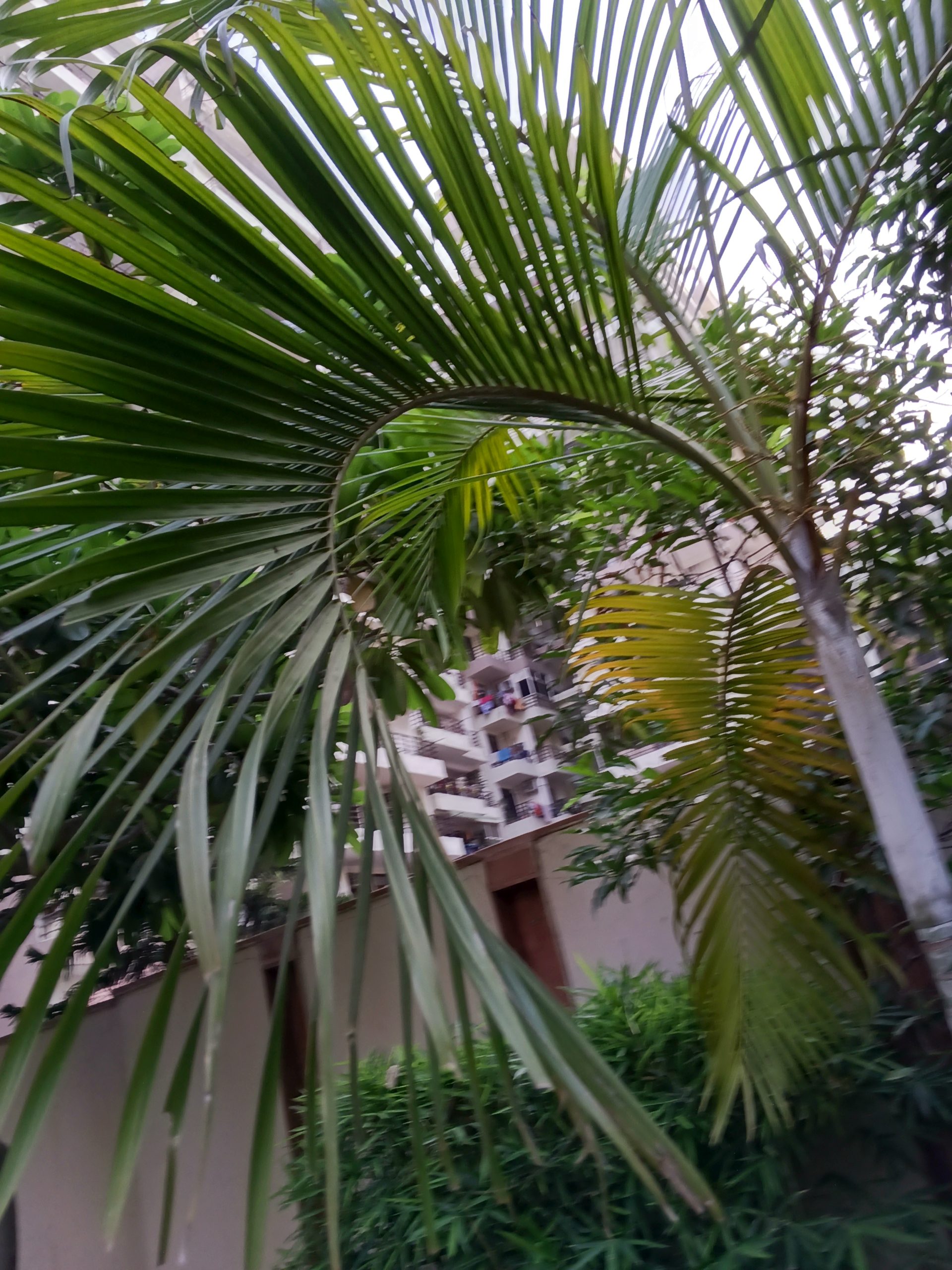 IMG_20230606_135628_397