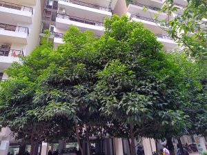 IMG_20230606_183550_142