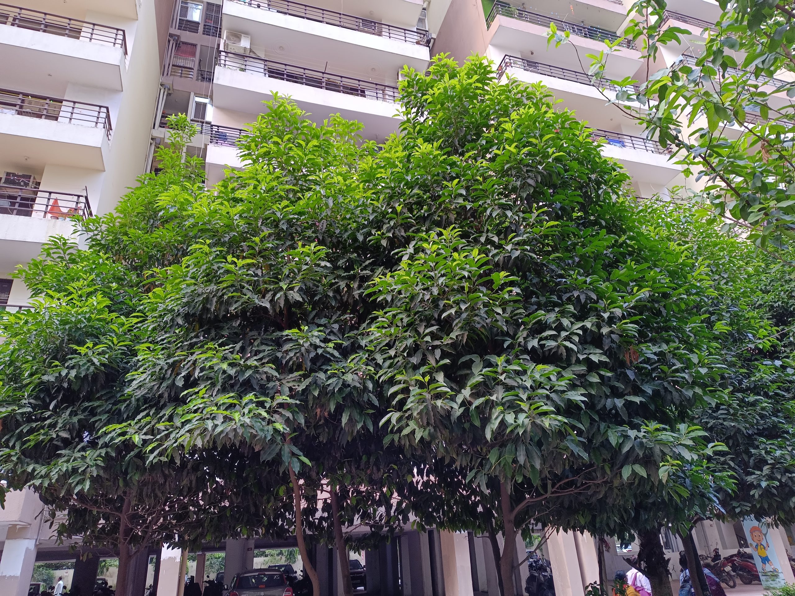 IMG_20230606_183550_142