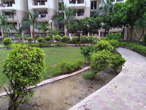 IMG_20230606_183605_659