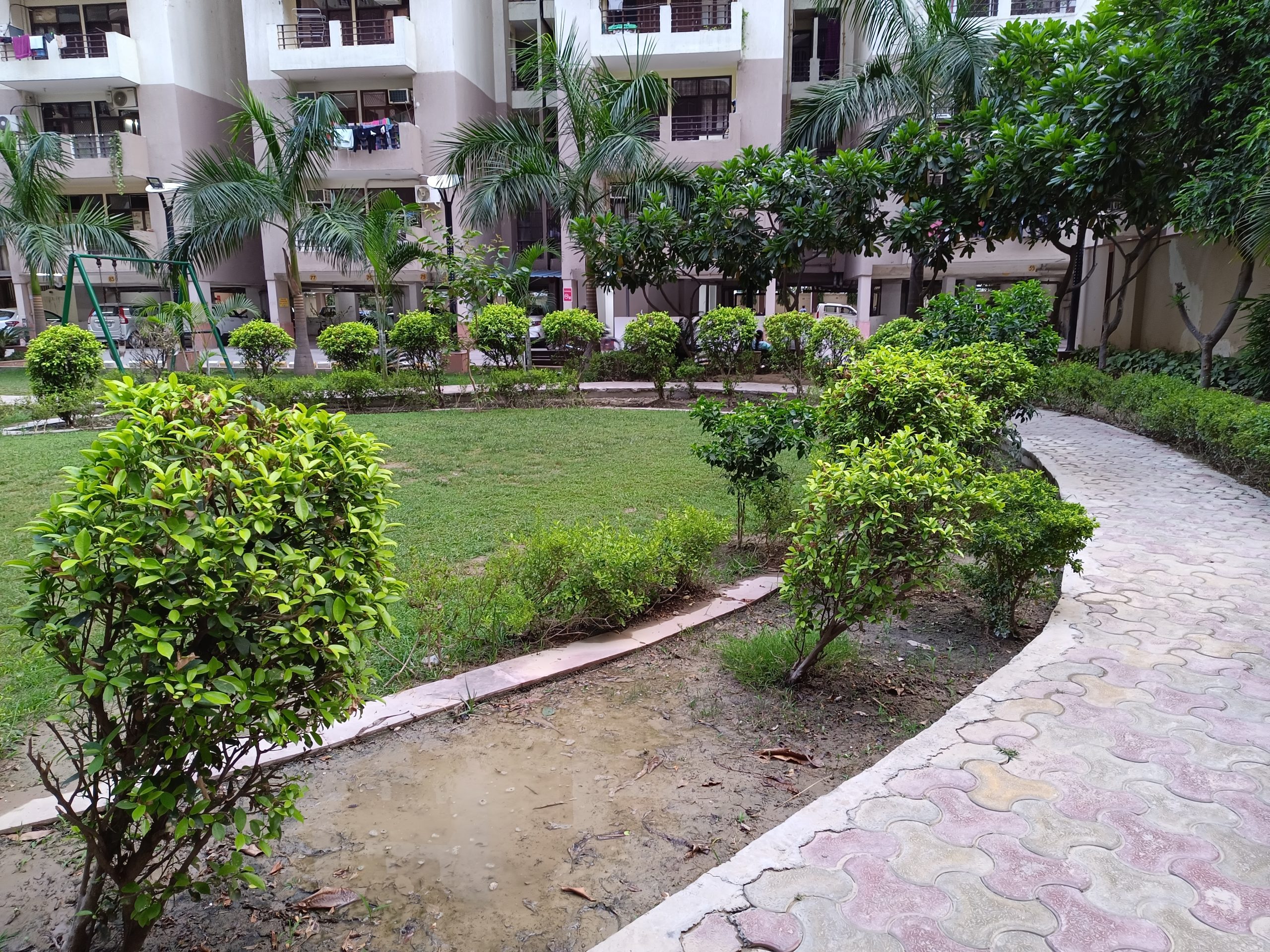 IMG_20230606_183605_659