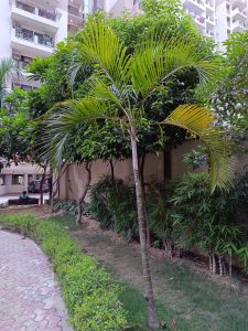 IMG_20230606_183619_180