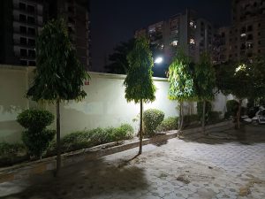 IMG_20230606_195752_491