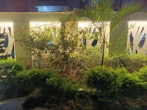 IMG_20230606_201114_188