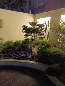 IMG_20230606_201121_948