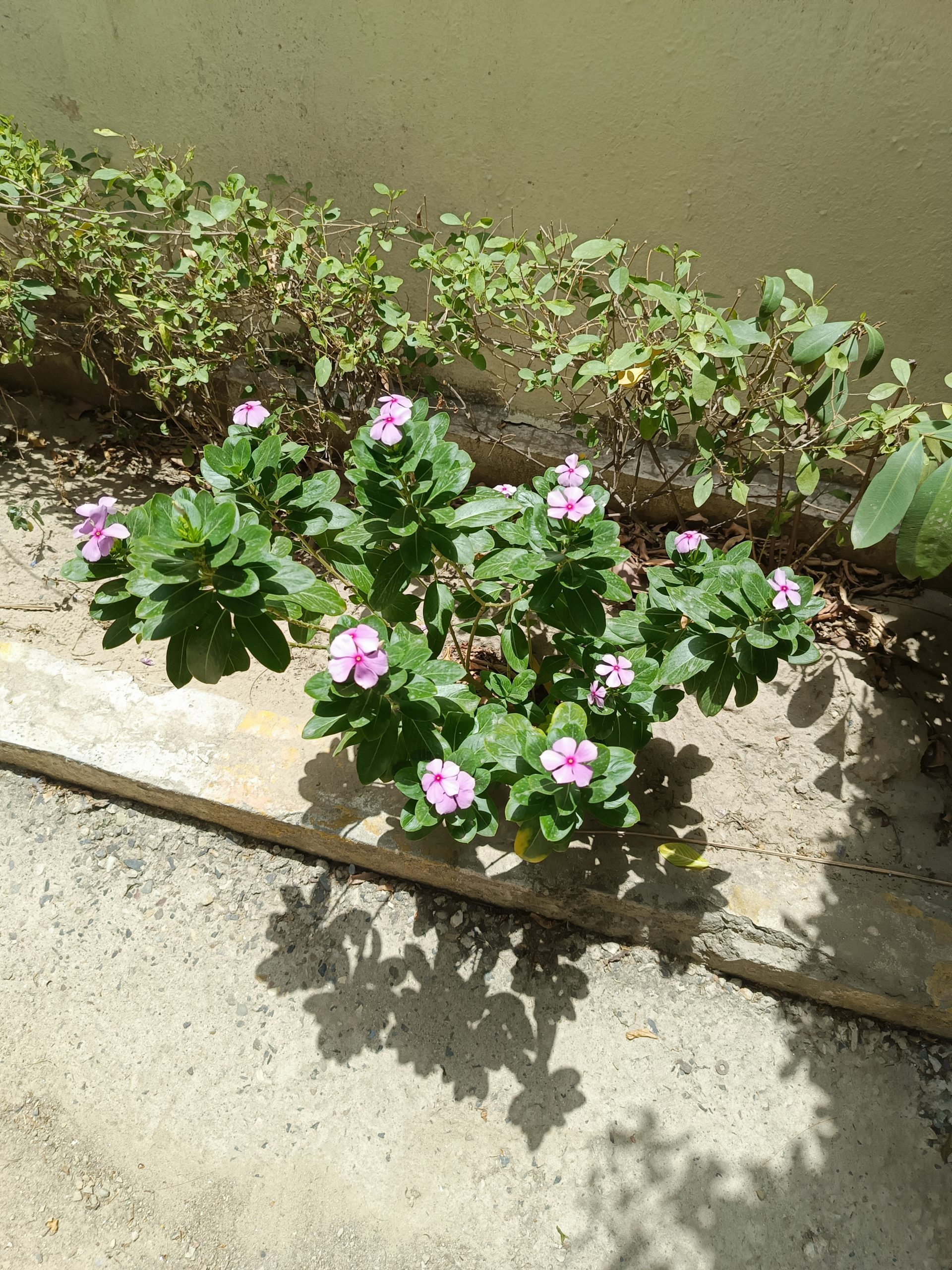 IMG_20230607_121359_287