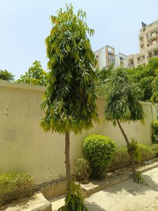 IMG_20230607_121509_887