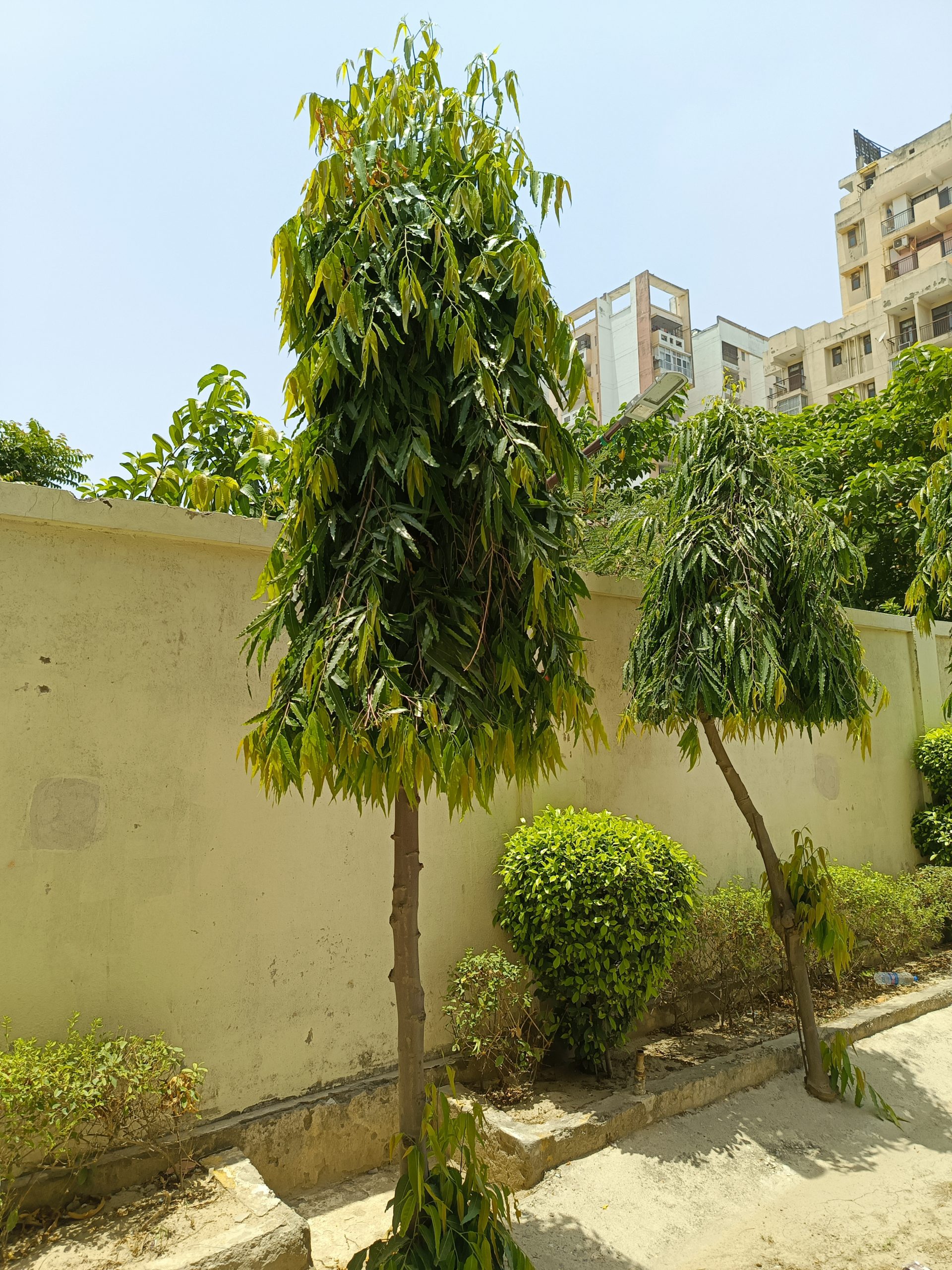 IMG_20230607_121509_887