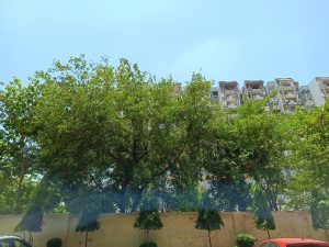 IMG_20230607_123107_458