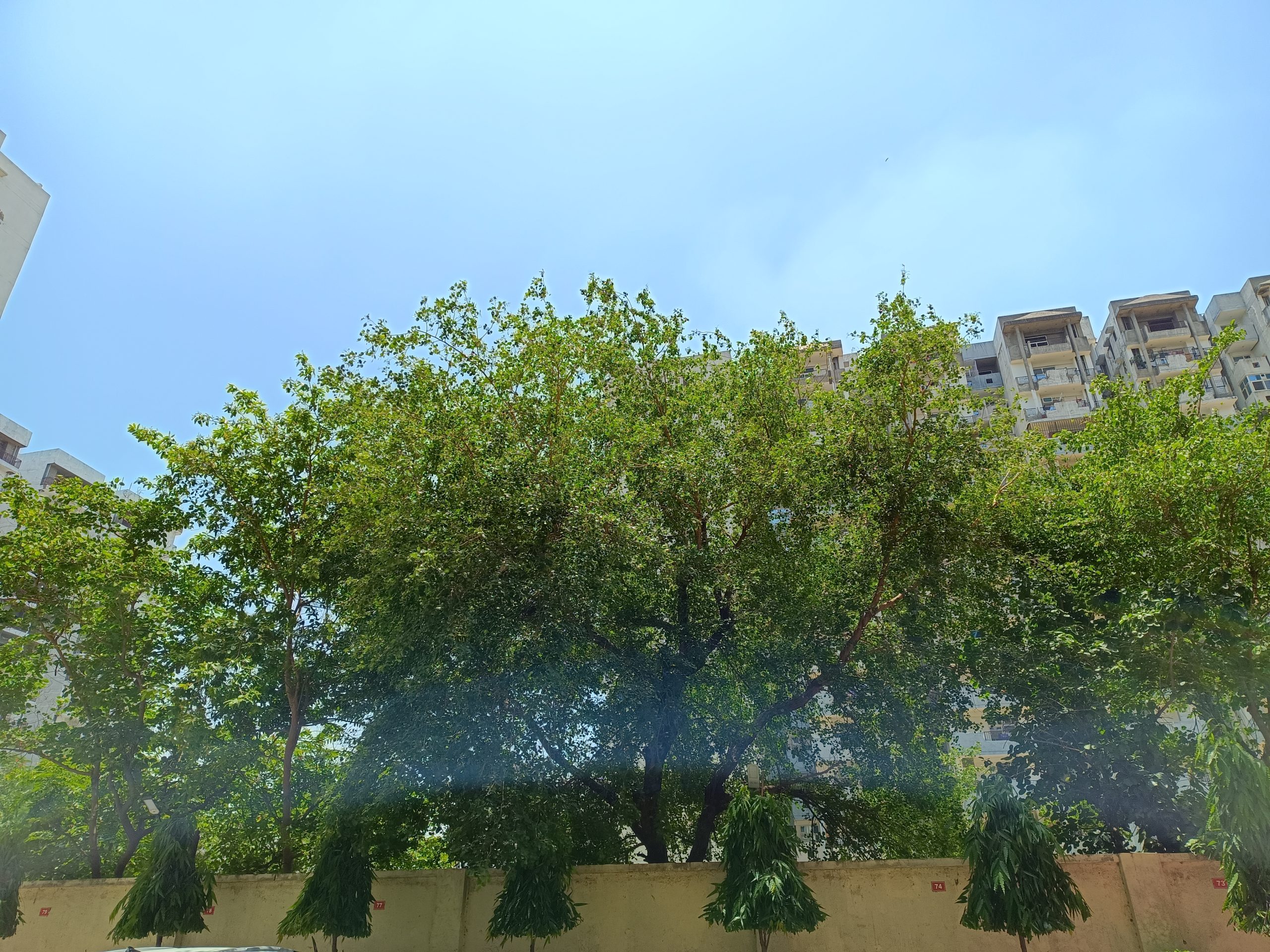 IMG_20230607_123111_889