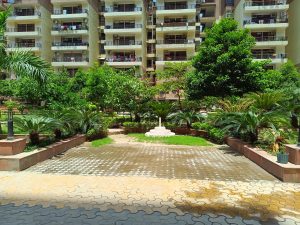 IMG_20230607_123405_463