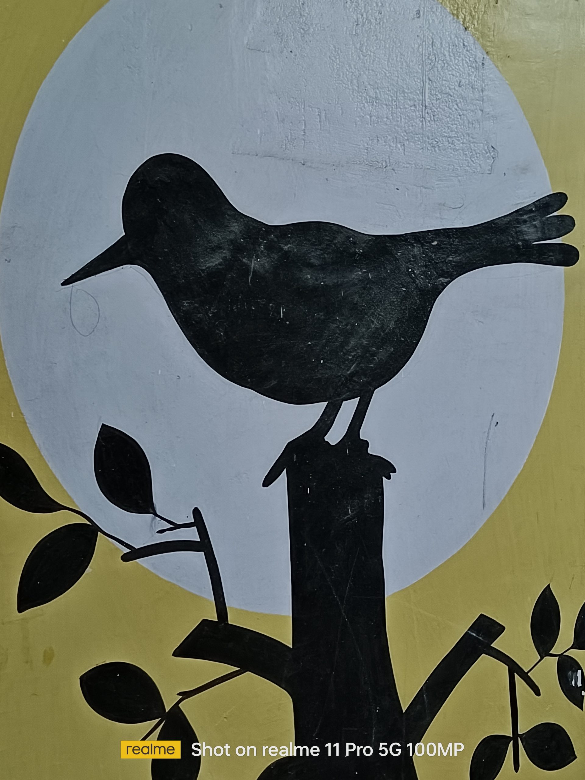 Night_PotraitMode_2X View Shot