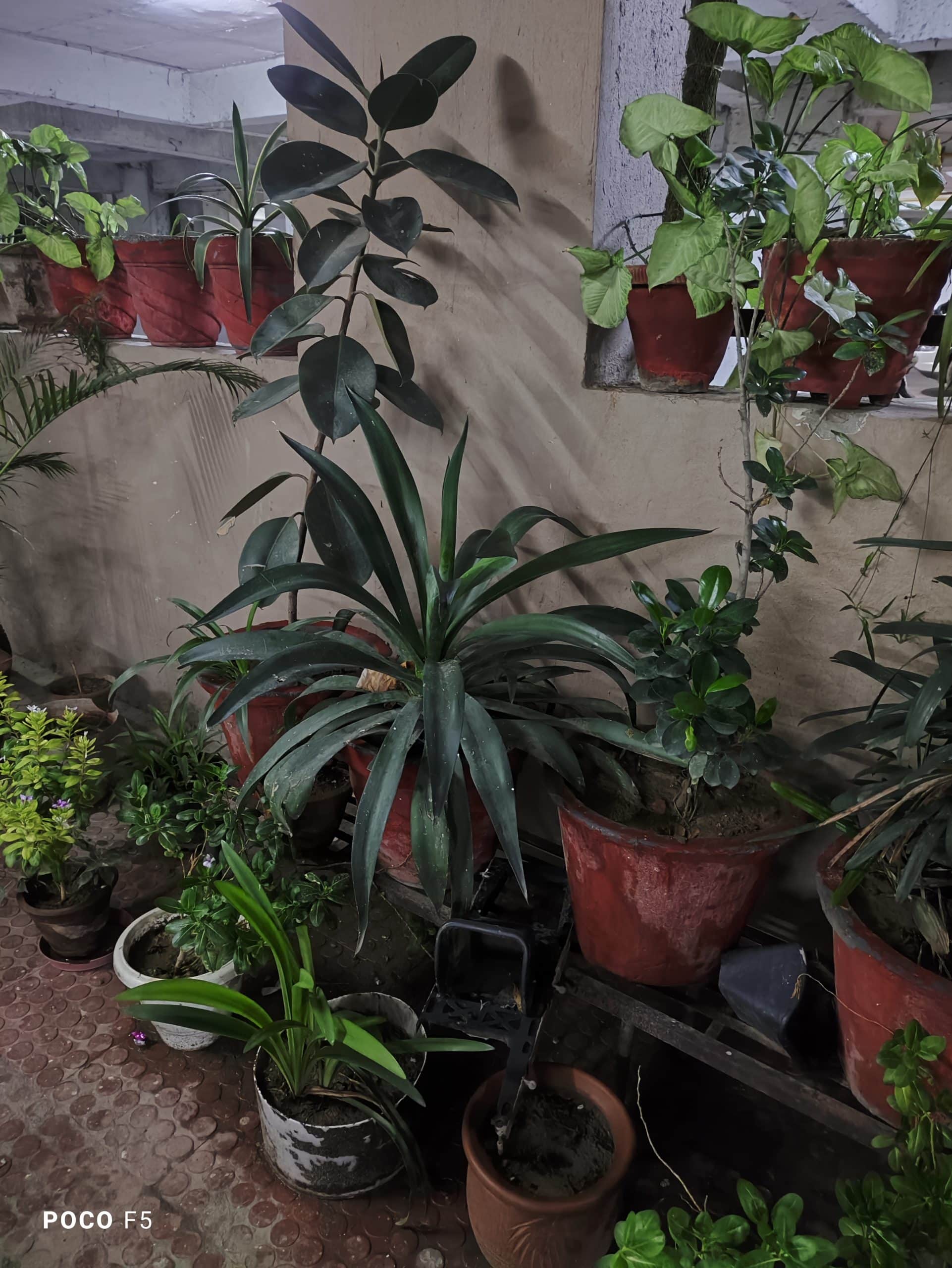 Photo Mode_NightTime_Macro Lens