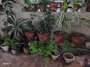 Photo Mode_NightTime_Main Sensor