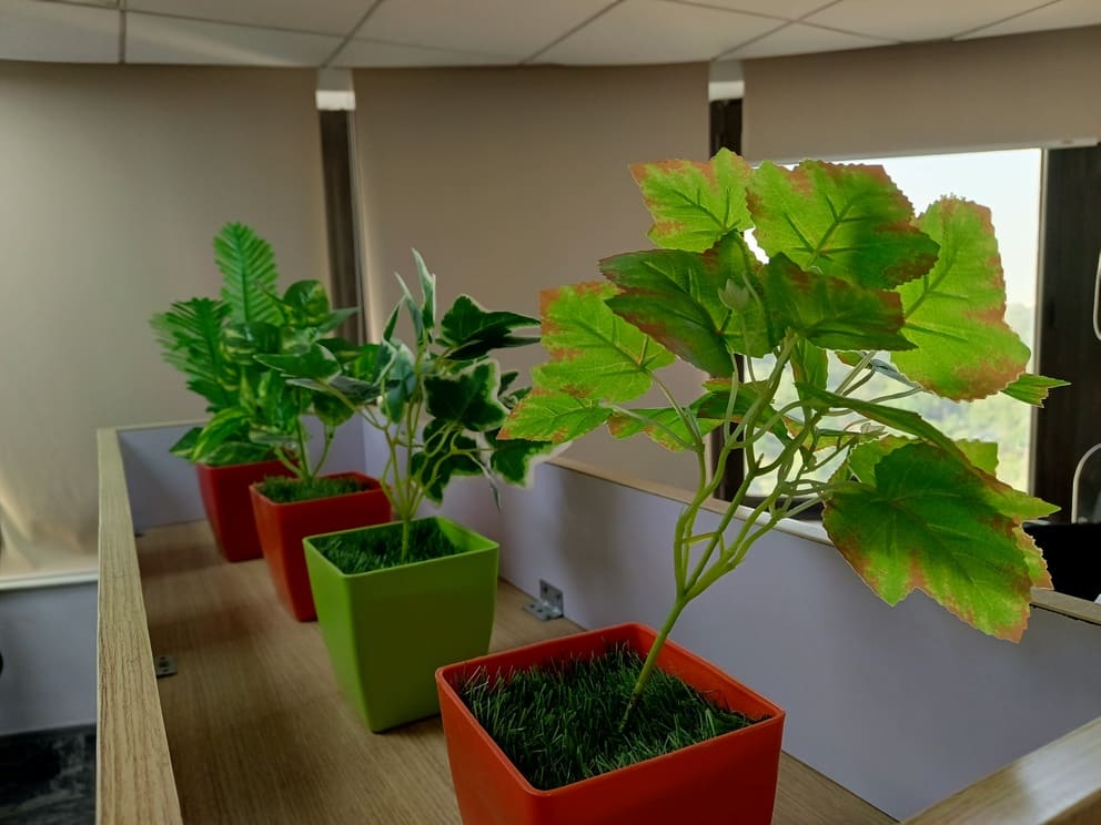 IMG_20230901_172647_037