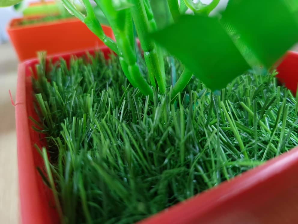 IMG_20230904_132517_575