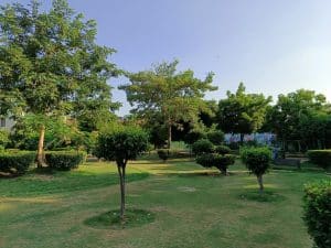 IMG_20230905_164151_479