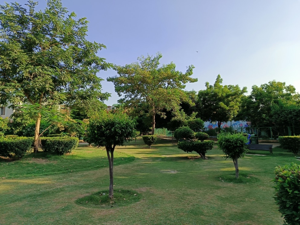 IMG_20230905_164151_479