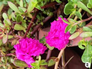 IMG_20230923_143234137