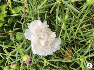 IMG_20230923_143258710_HDR