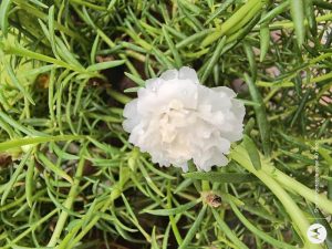 IMG_20230923_143312695_HDR