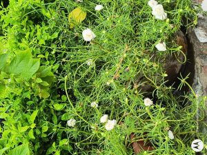 IMG_20230923_143323745_HDR