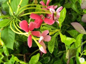 IMG_20230923_143401302