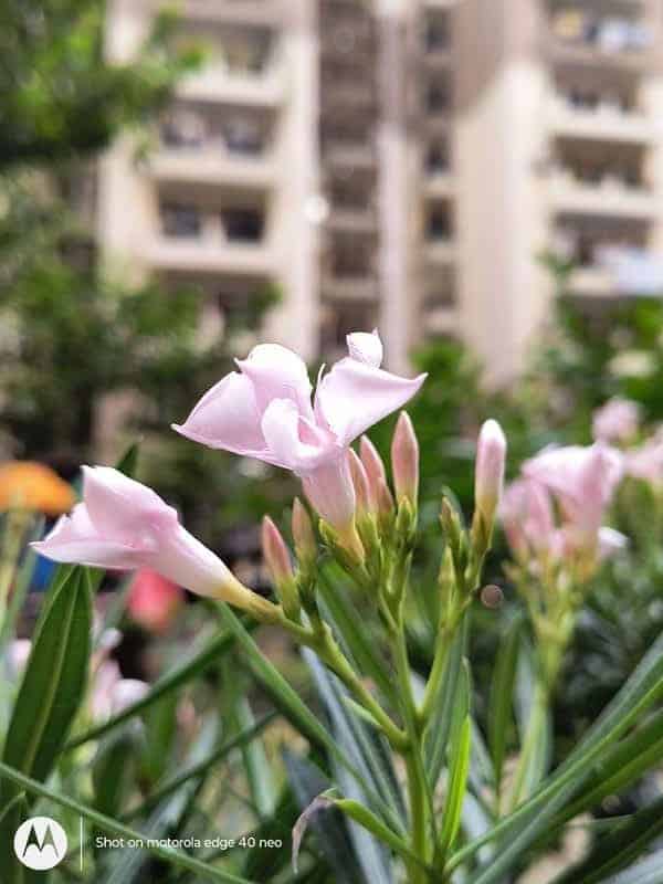 IMG_20230923_154312767_PORTRAIT