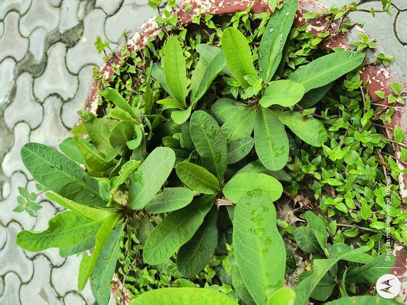 IMG_20230923_154448246_HDR